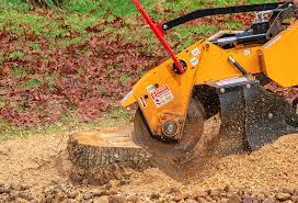  Meridian, MS Tree Care Pros